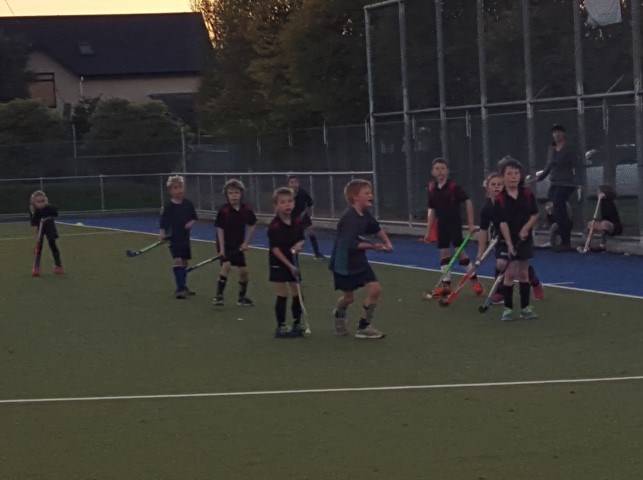 Sports